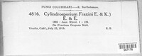 Image Associated With the Occurence